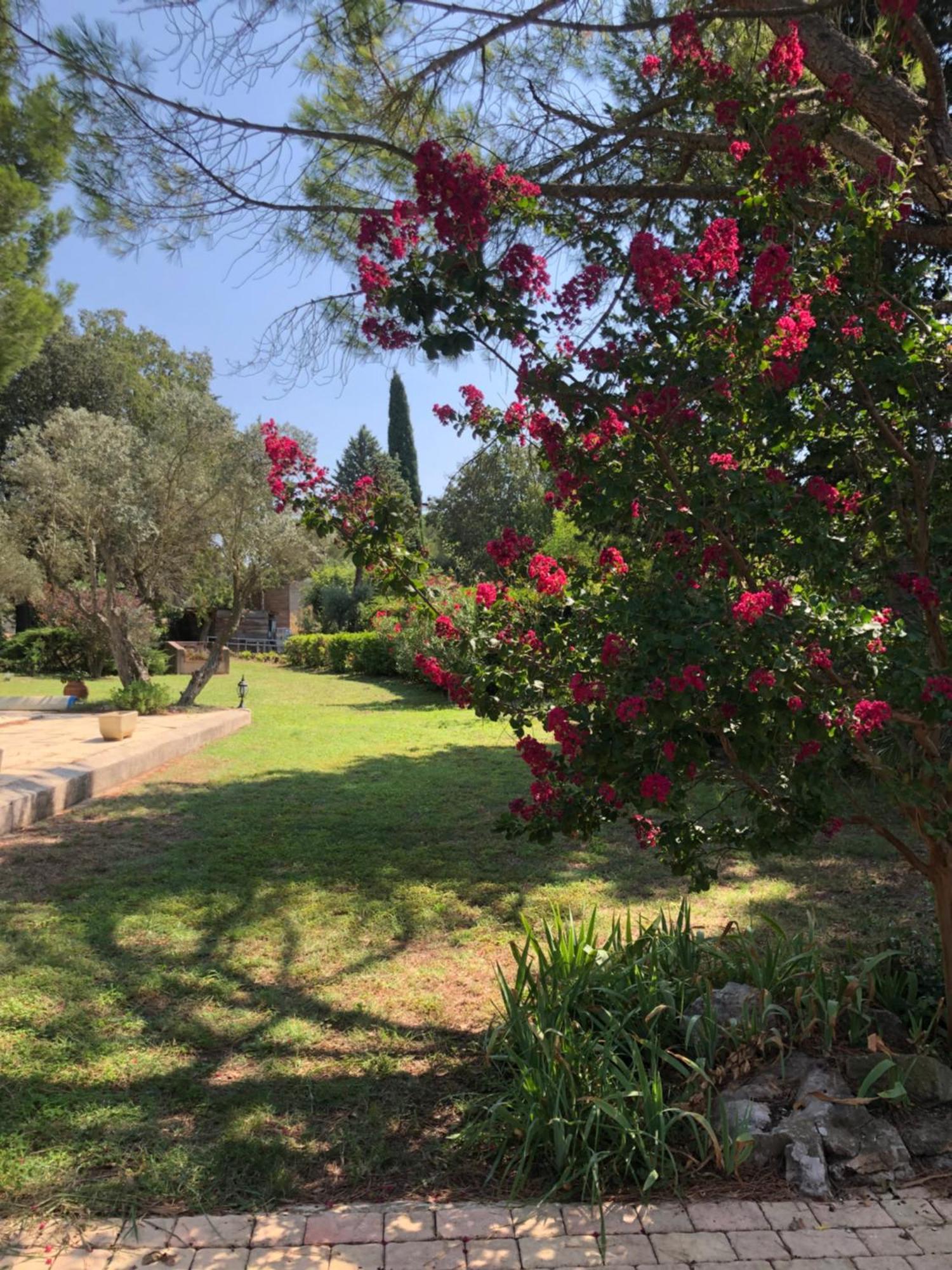 Gite En Provence Dans Grand Jardin Avec Piscine Partagee Cornillon-Confoux Екстер'єр фото